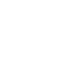 Viron Logo